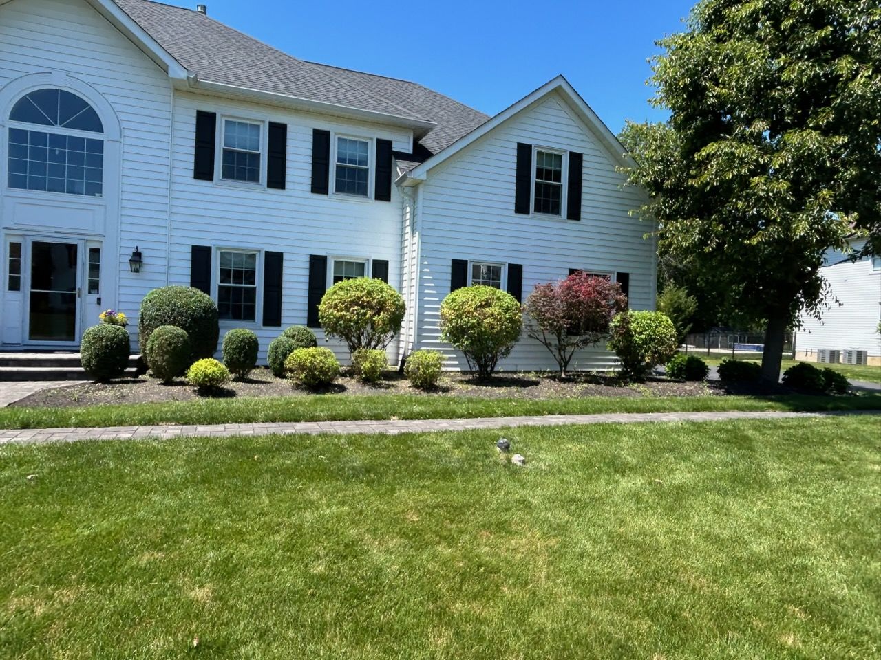 hedgetrimming